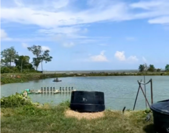 1686908658199384.png image.png