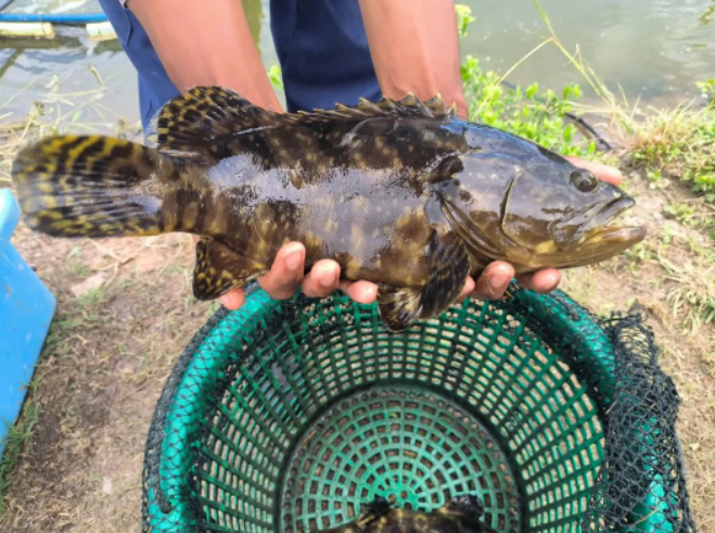 1686908673751933.png image.png