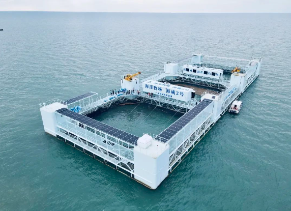 1695714541232921.png image.png