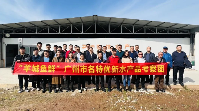 1703037020895890.png image.png