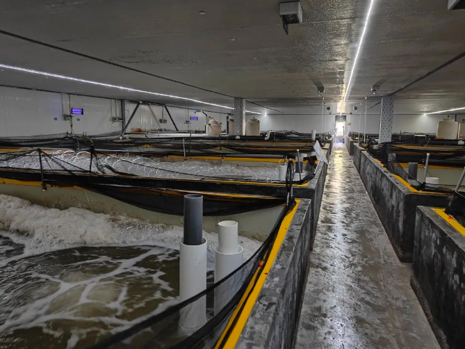 1703037070112587.png image.png