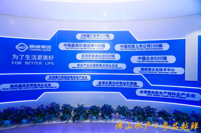 1703038772263927.png image.png