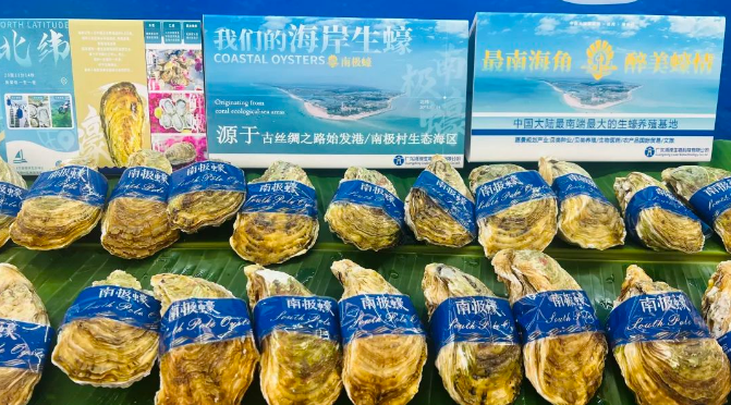 1713341247160847.png image.png